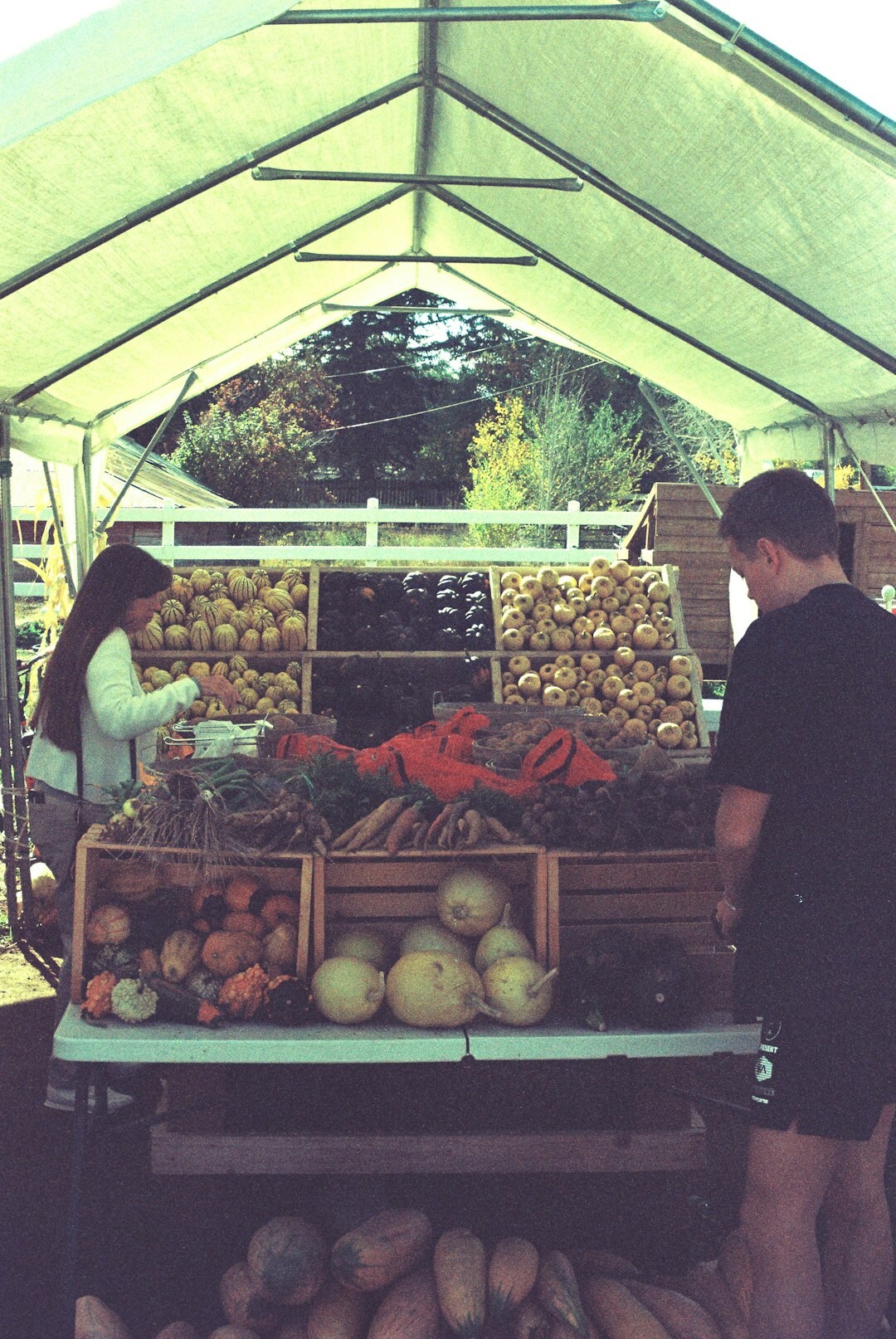 seasonal vegetables on table